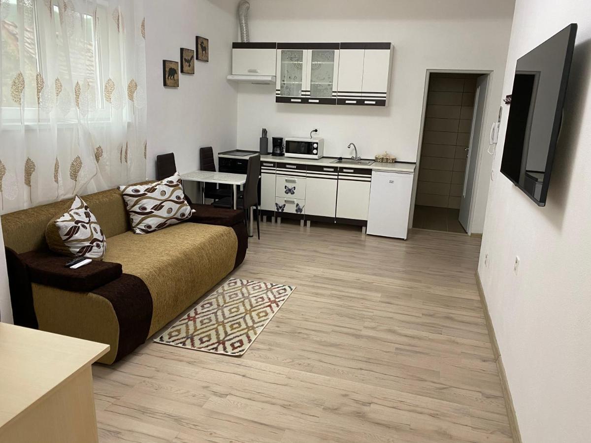 Centralhome Ap1 Sighişoara Esterno foto