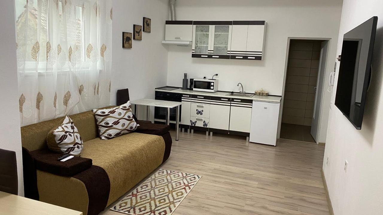 Centralhome Ap1 Sighişoara Esterno foto