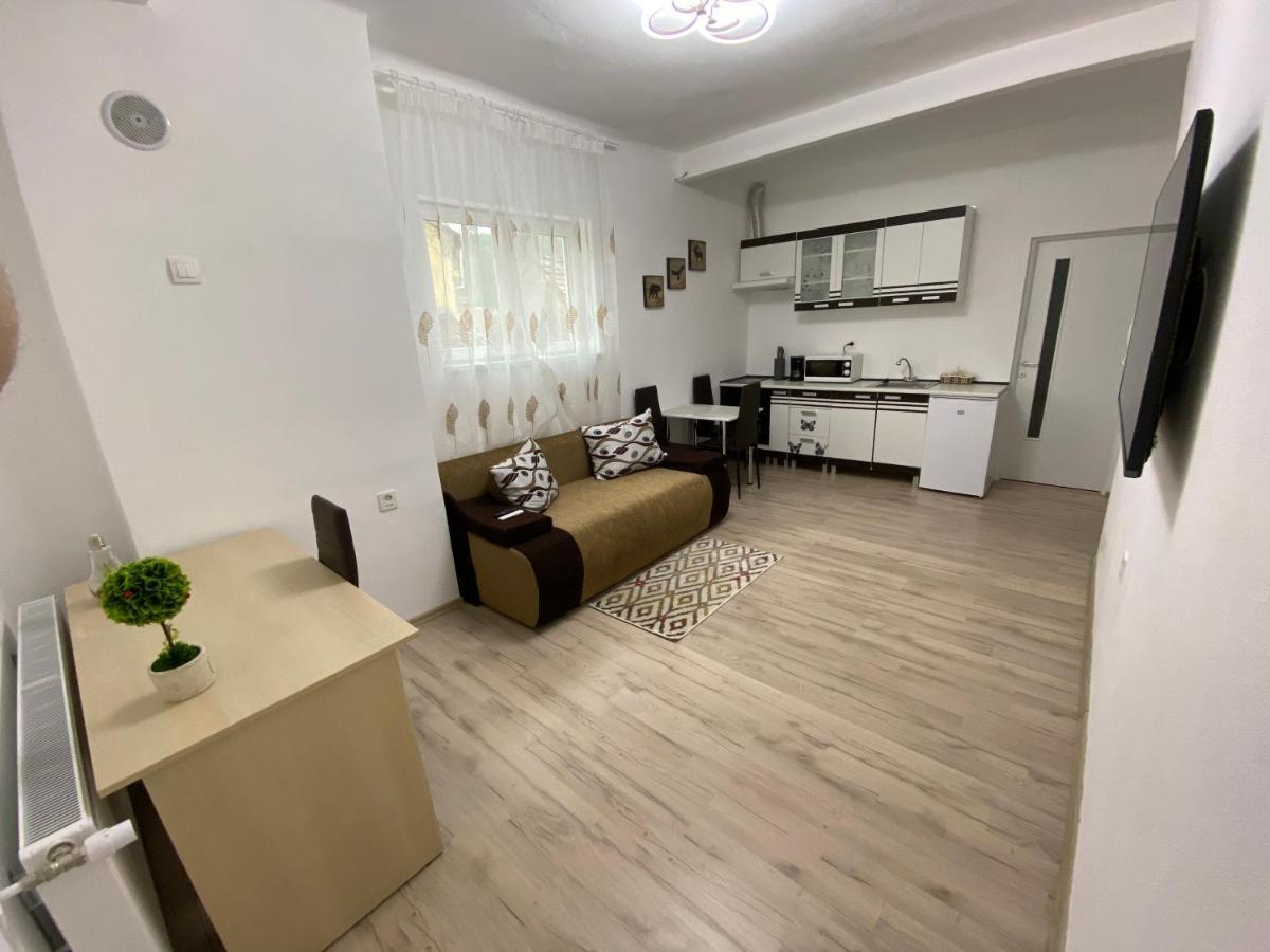 Centralhome Ap1 Sighişoara Esterno foto